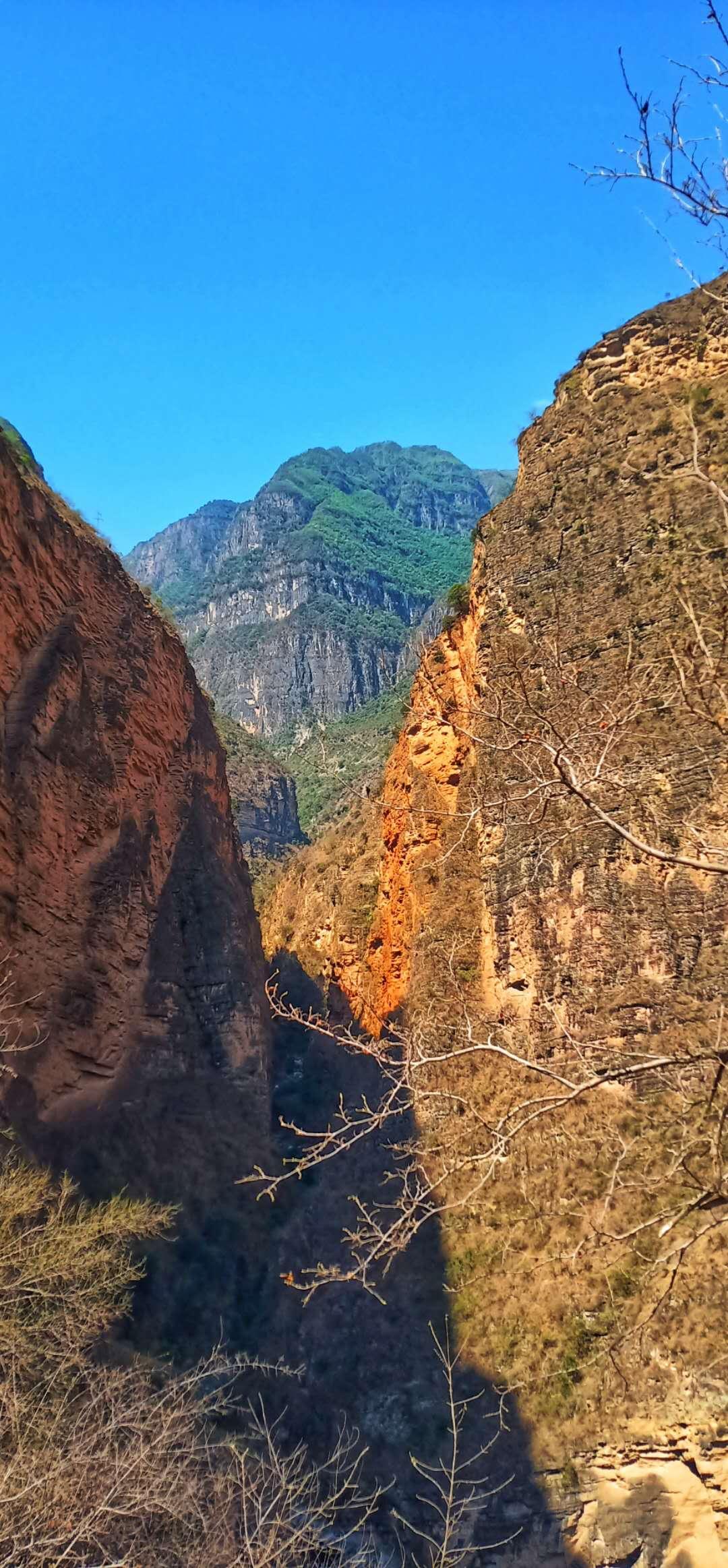 凉山村新领导引领变革，塑造美好未来