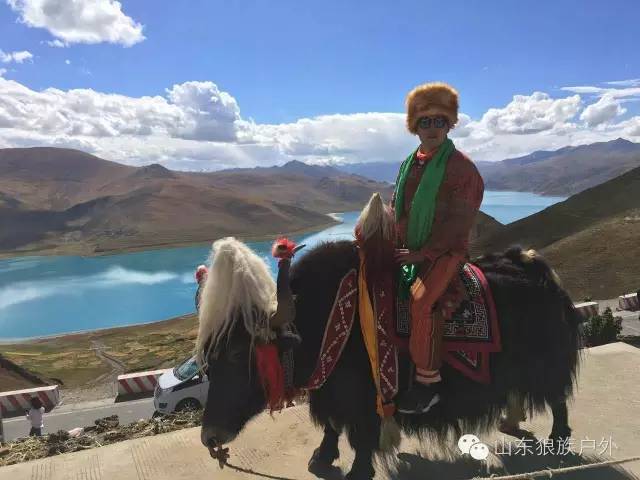 网友在西藏林芝旅游遇姜子牙坐骑