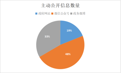 边坝县数据和政务服务局发展规划探讨与展望