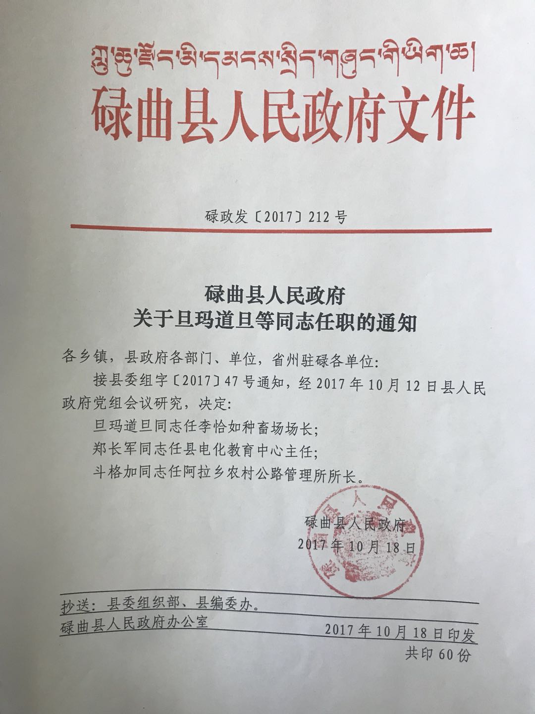 雄县人民政府办公室人事任命重塑领导团队，推动县域发展新篇章