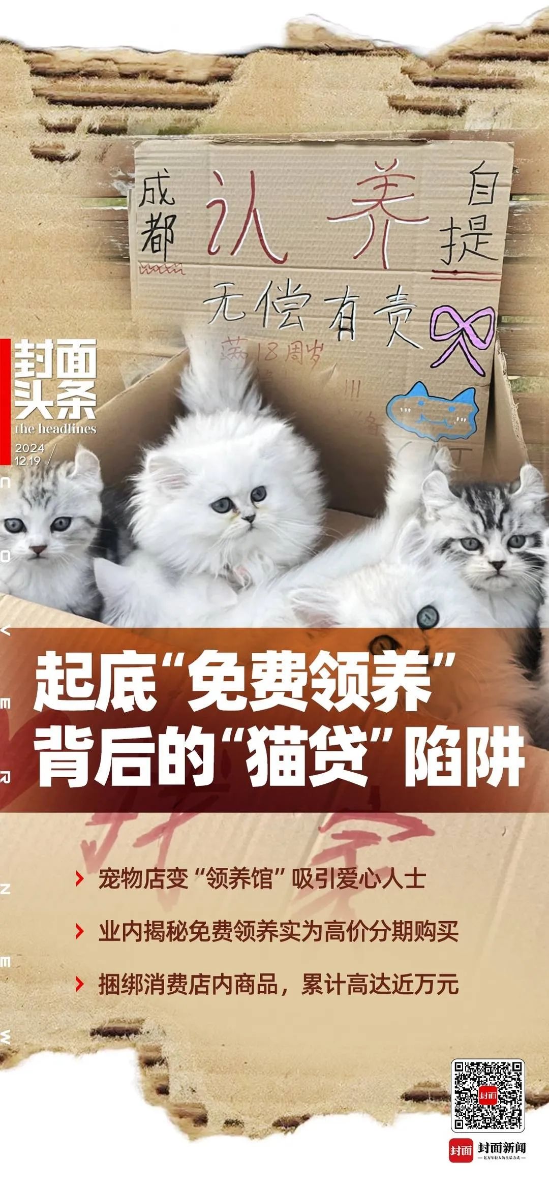 多地曝出免费领养猫咪纠纷事件，宠物免费领养背后的套路与规避方法