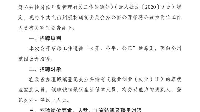 曲靖市市行政审批办公室最新招聘公告解读