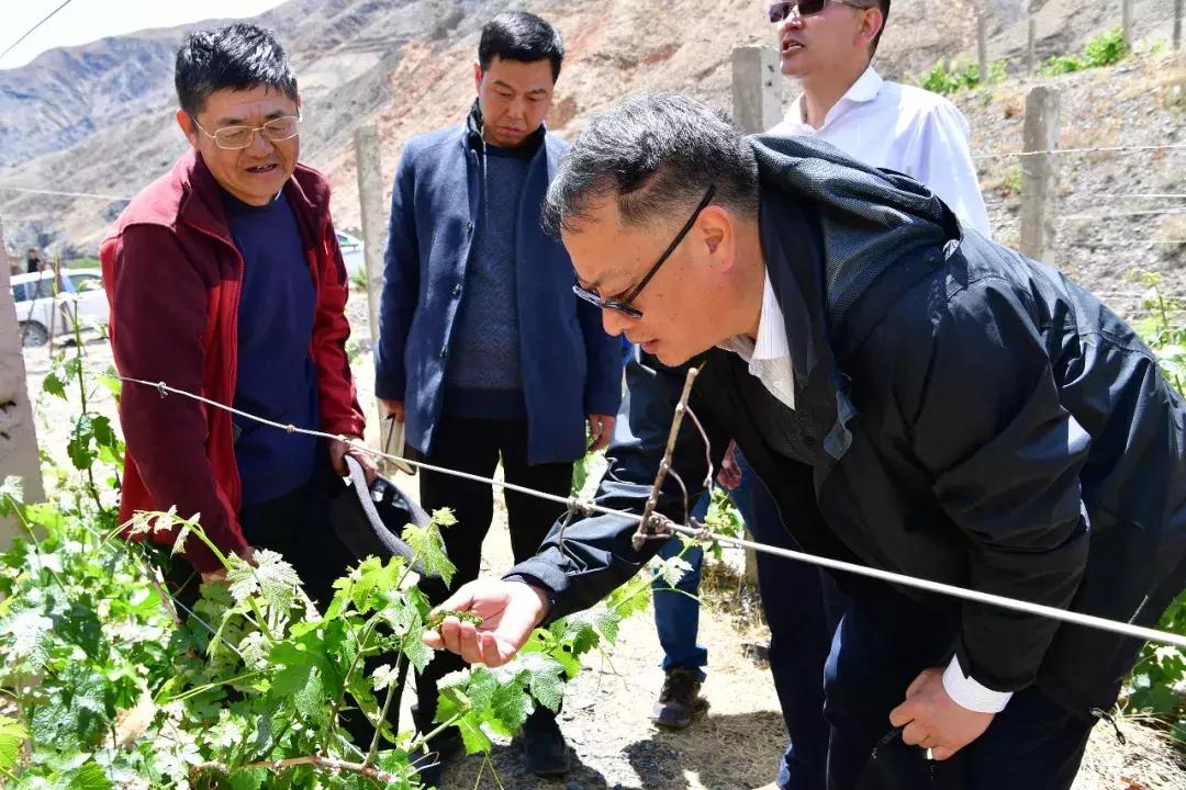 左贡县未来繁荣与和谐新蓝图发展规划揭秘