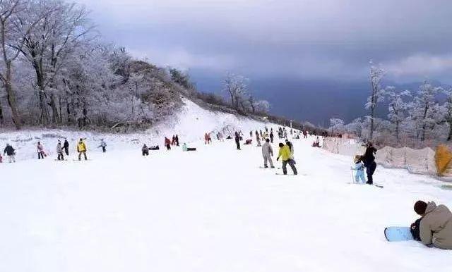 中国游客在日本滑雪场意外身亡