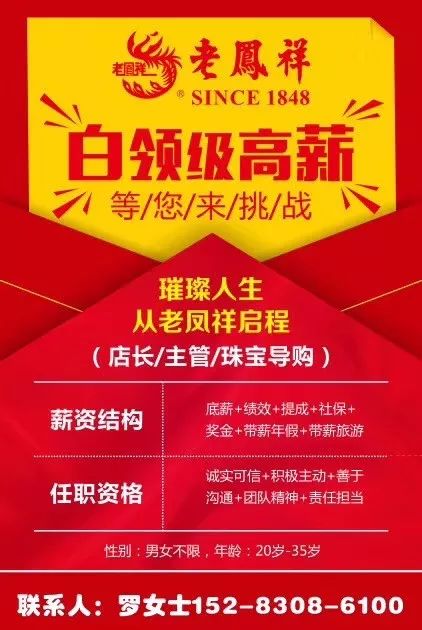 窝羊公司最新招聘信息及概览