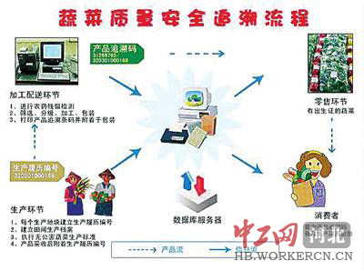 2020年一肖一码免费大公开,免费分析查询平台_Android256.184